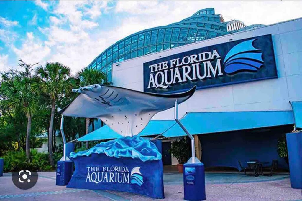 Minutes To Fairgrounds, Hard Rock, & Busch Gardens Vila Tampa Exterior foto